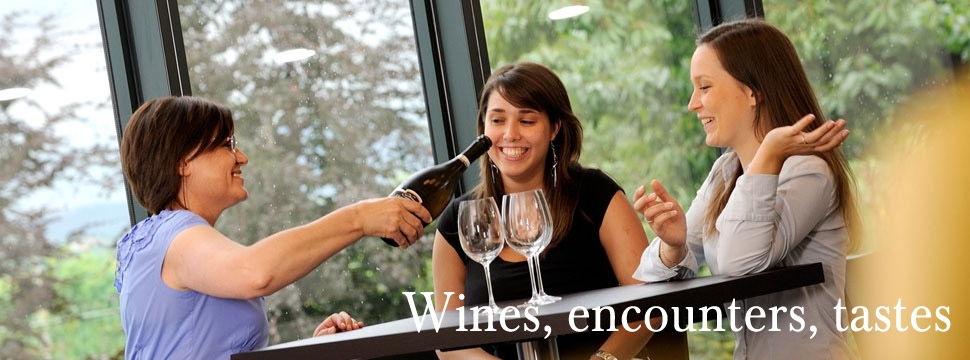 Wines, encounters, tastes